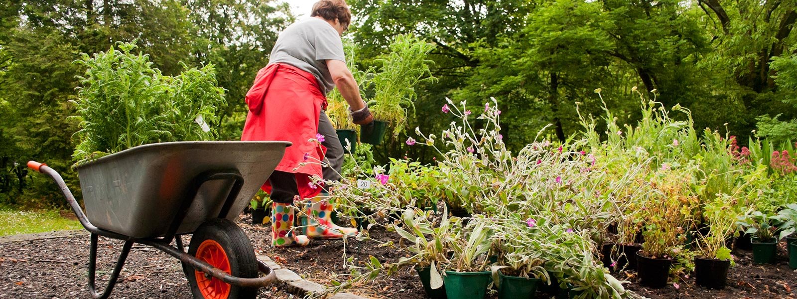 Community gardening (c) Katrina Martin