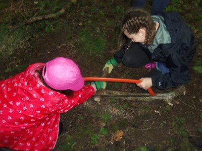 Forest school activities