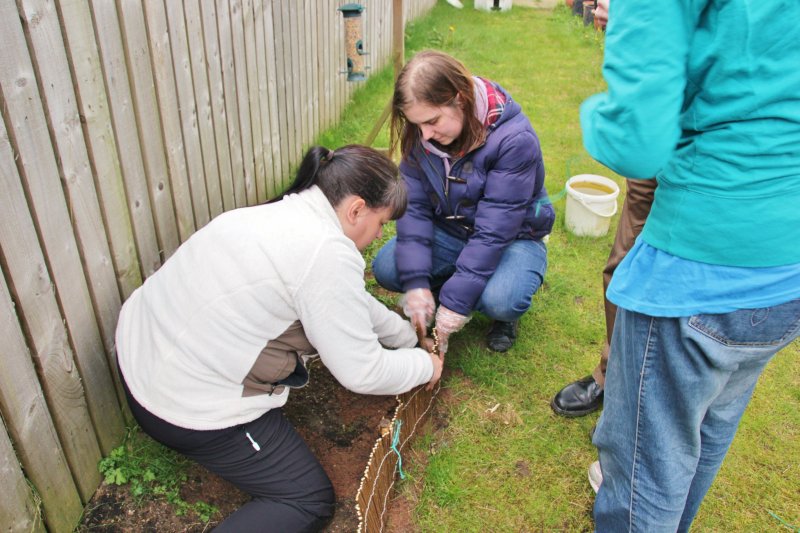 Image of garden planting