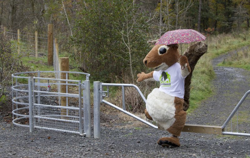 Snady the squirrel leaps over the new  gate