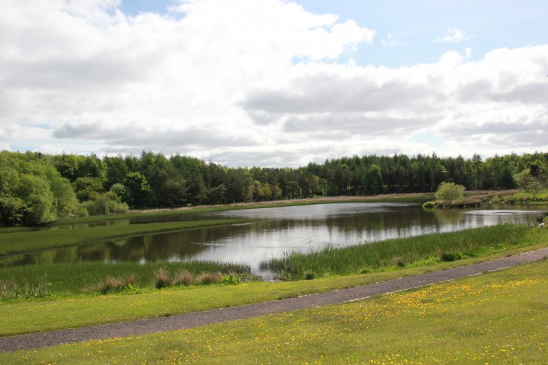 St Maurice's Pond - North Lanarkshire Council