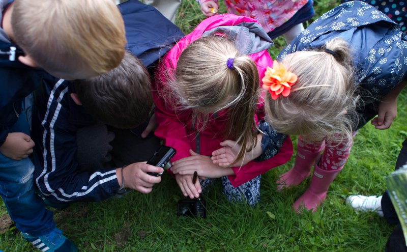 the-importance-of-wildlife-monitoring-cumbernauld-living-landscape