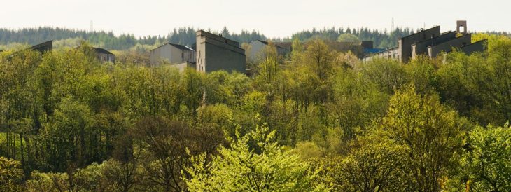 Cumbernauld Glen c Katrina Martin