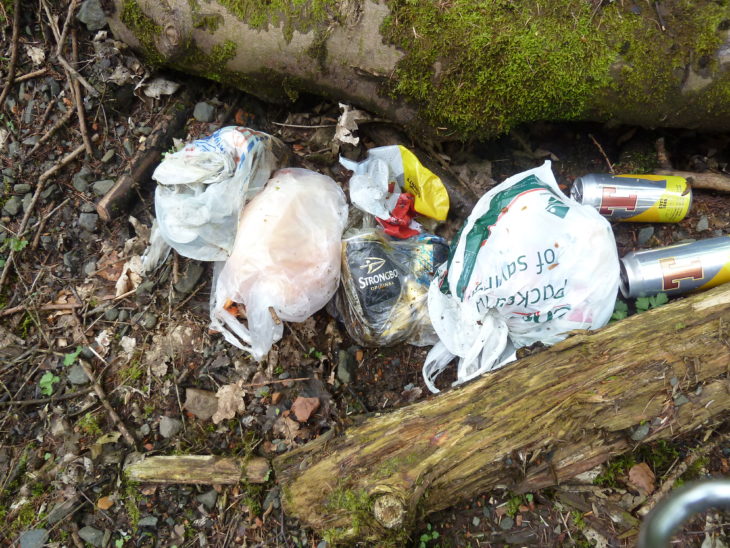 Litter in the woodland Image Tracy Lambert