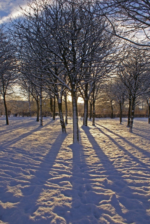 Snowy woodland in Cumbernauld © Paul Barclay