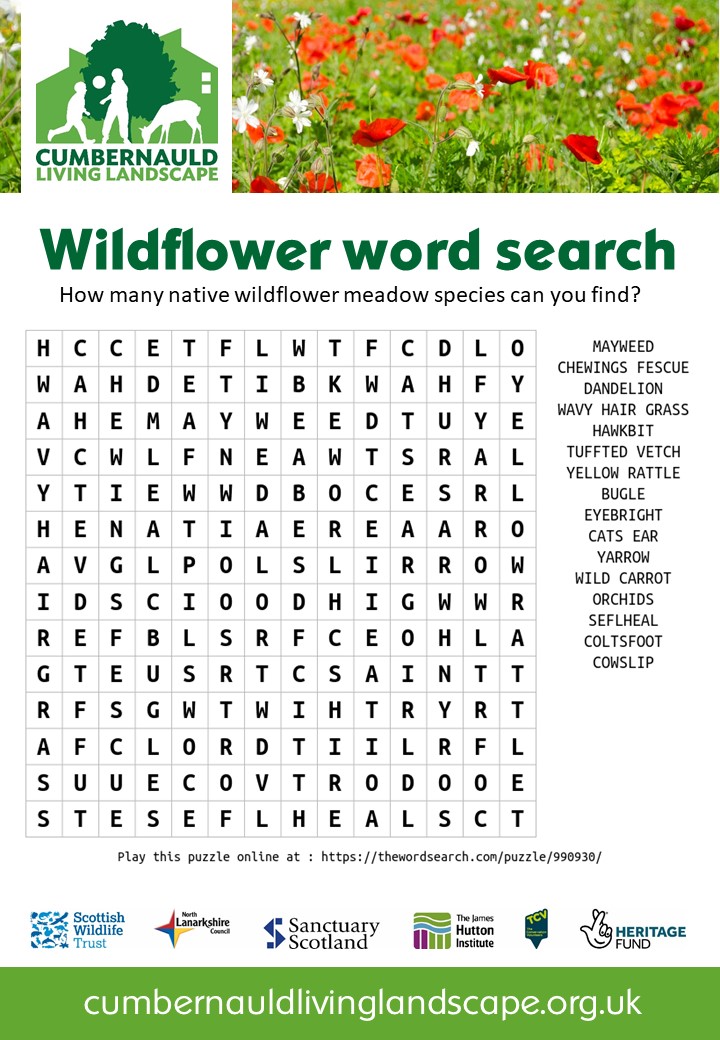 20200307-wildflower-word-search-cumbernauld-living-landscape