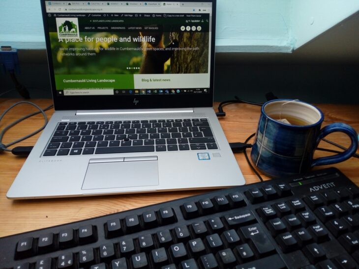 image of laptop and cup of tea