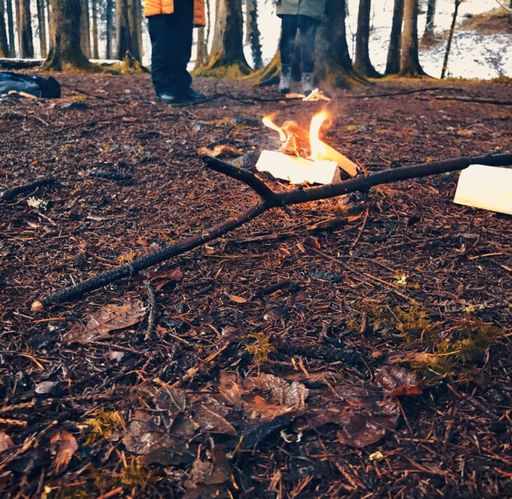 A small bonfire in the woods