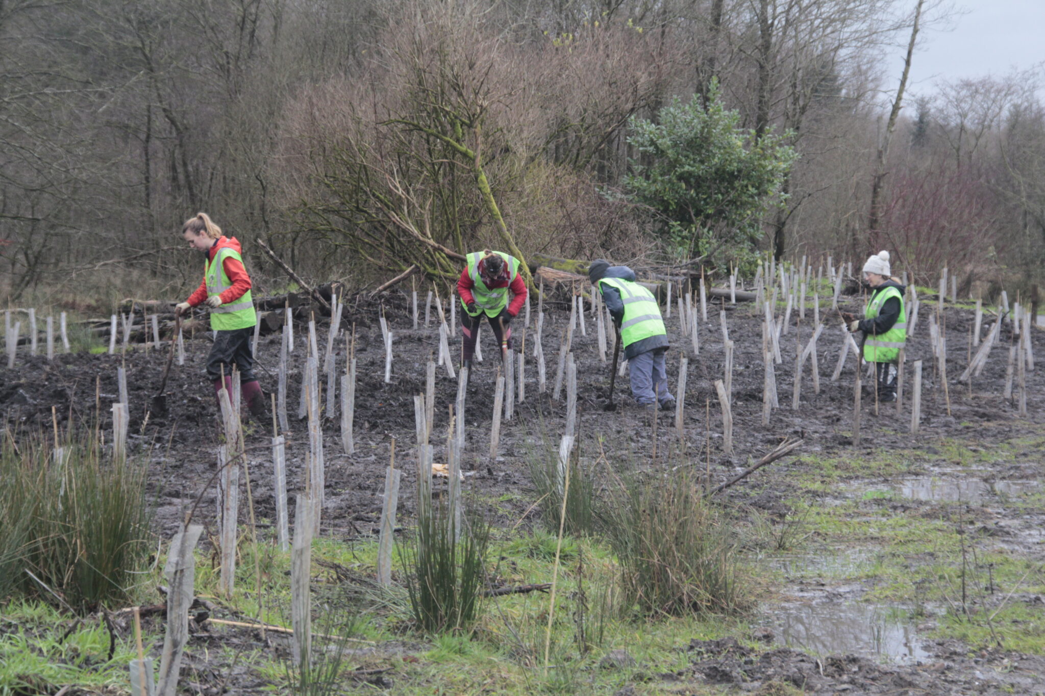 Living Landscapes for a living planet - Cumbernauld Living Landscape