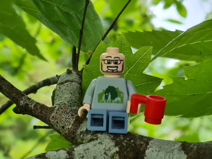 A lego minifigure in Cumbernauld Living landscape outfit sitting in a tree
