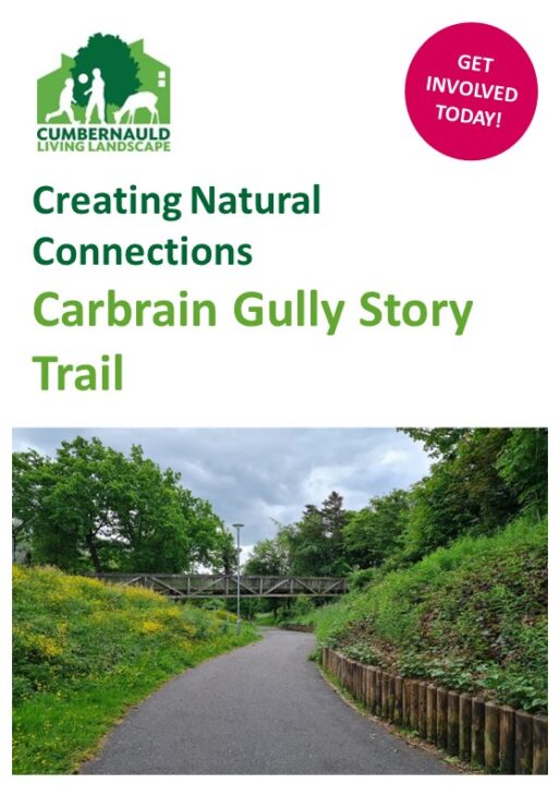 Carbrain Gully Story Trail